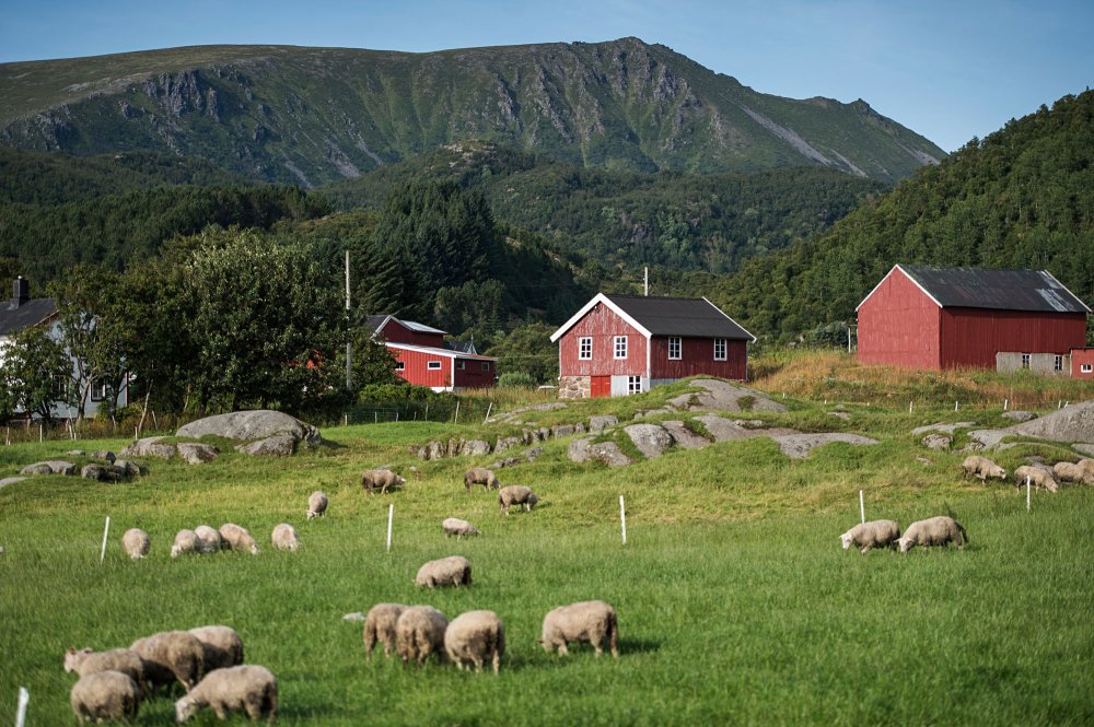 Wanderreise auf die Vesterålen & Lofoten - Jetzt buchen