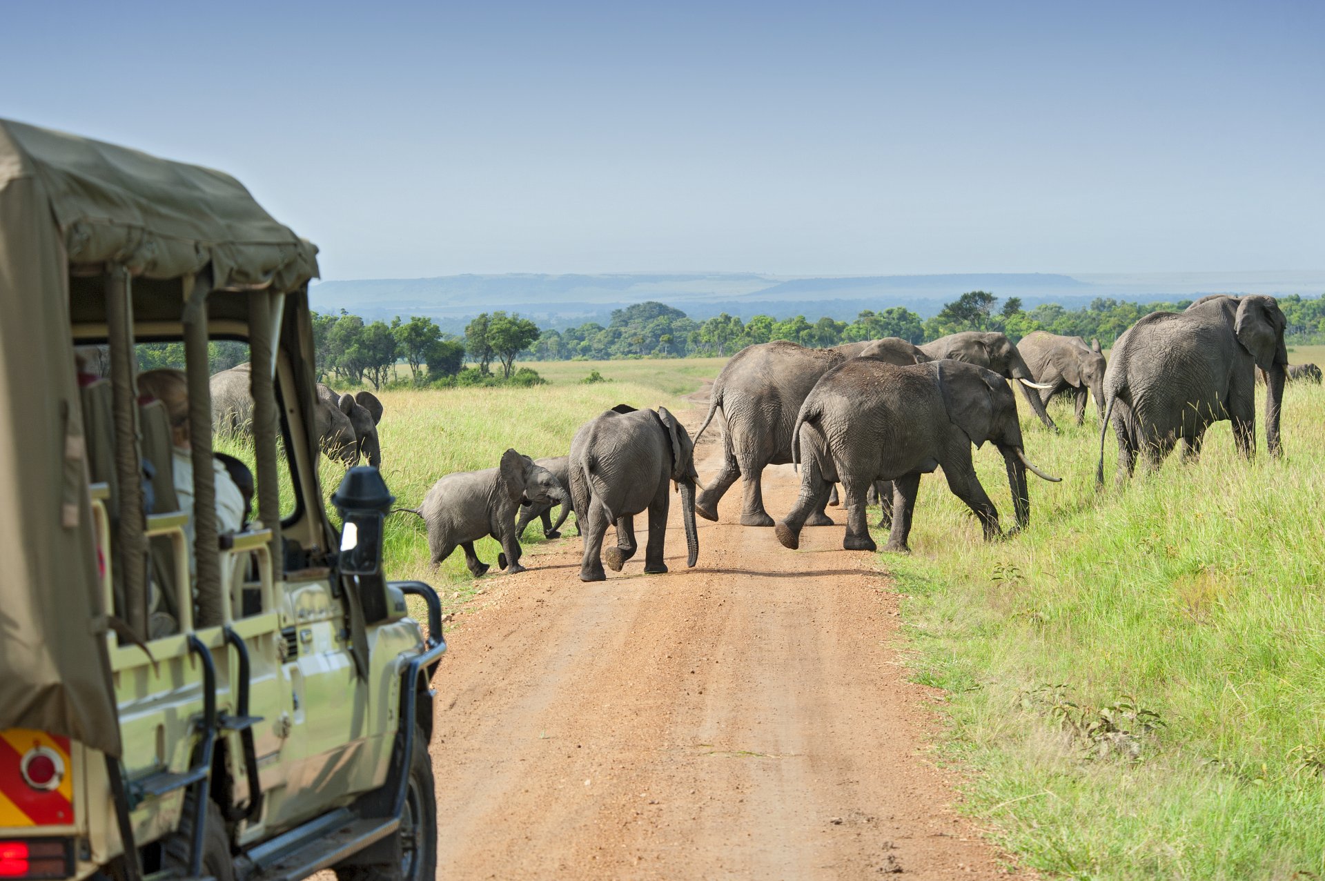 Afrika Reise mit Safari: Unberührte Natur Wildtiere hautnah Afrika Reise mit Safari: Unberührte Natur Wildtiere hautnah