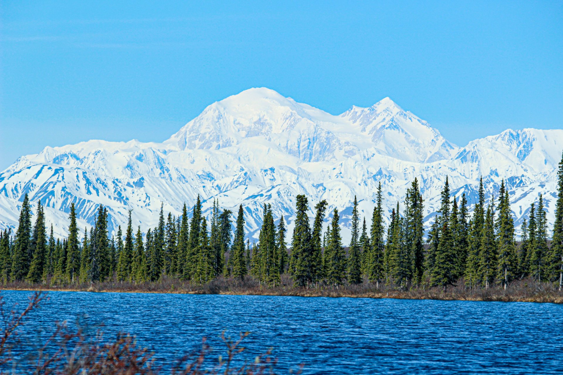 Der Denali Nationalpark: Erlebe Alaskas pure Wildnis