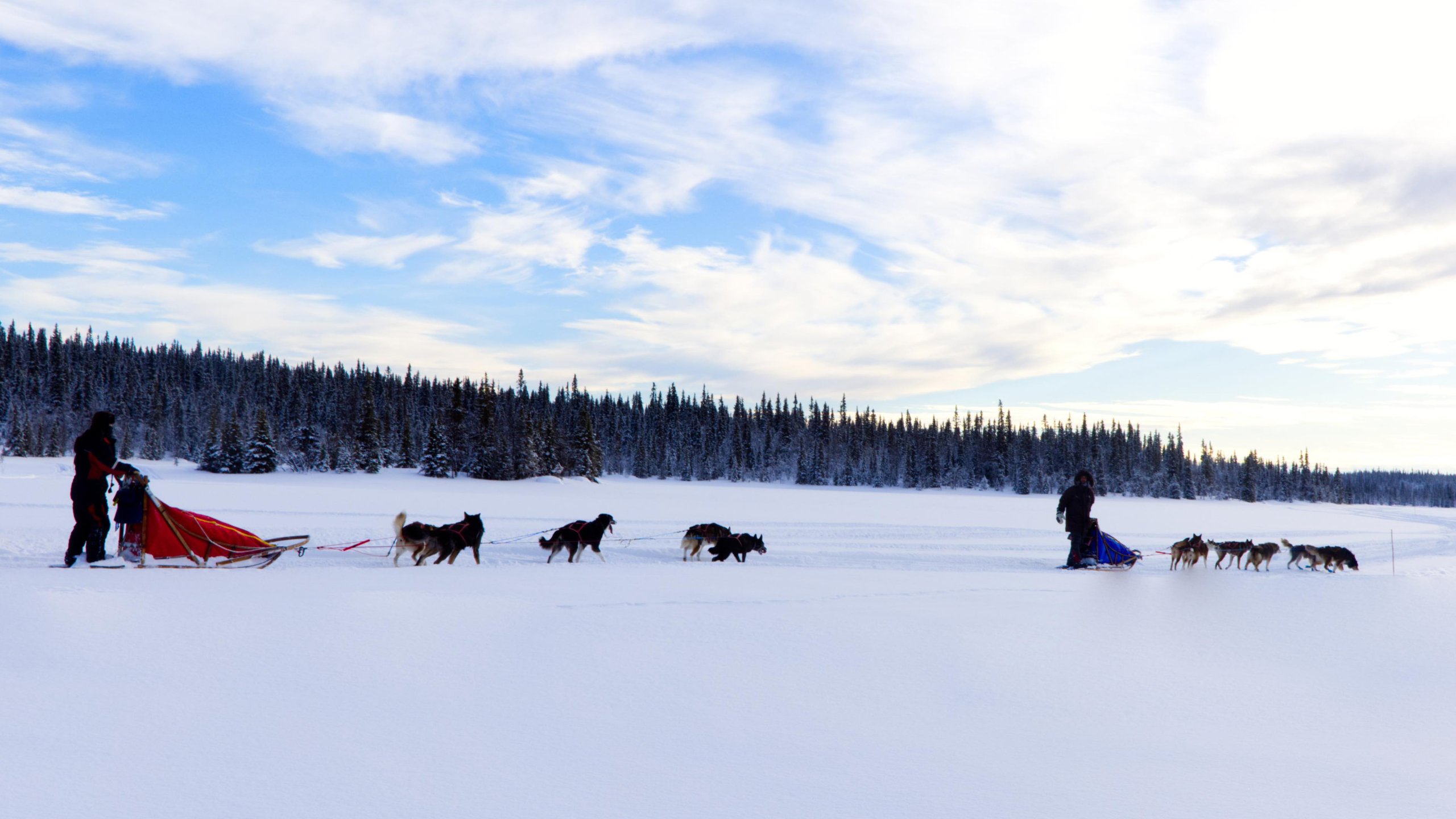 Tage Husky-Erlebnis in Schwedisch Lappland Winterreise